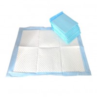 Disposable Absorbent Pet Potty Urine Mat and Puppy Training Toilet Wee  Dog Pee Pad